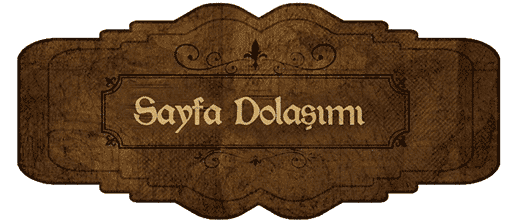 Sayfa Dolaşımı