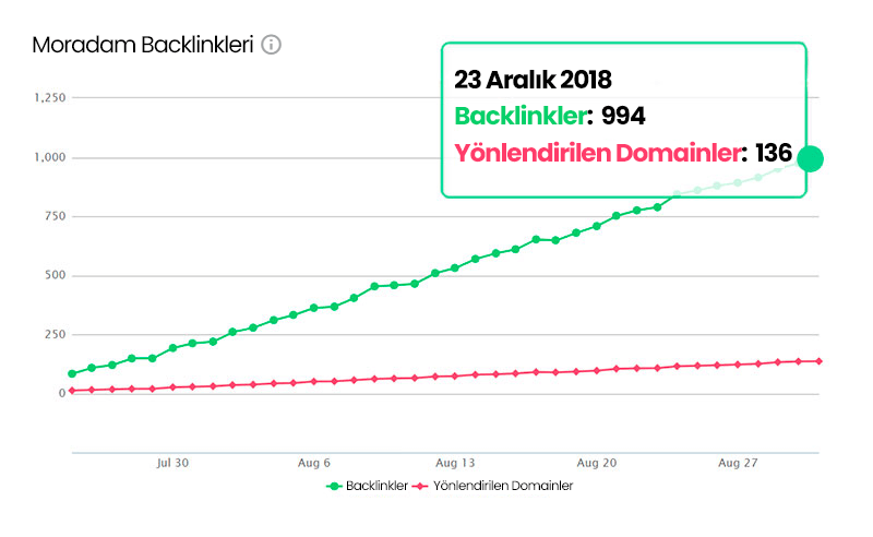 Devasa Backlink Ağı