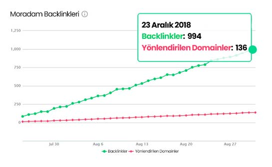 Google sıralamasında kesintisiz artış