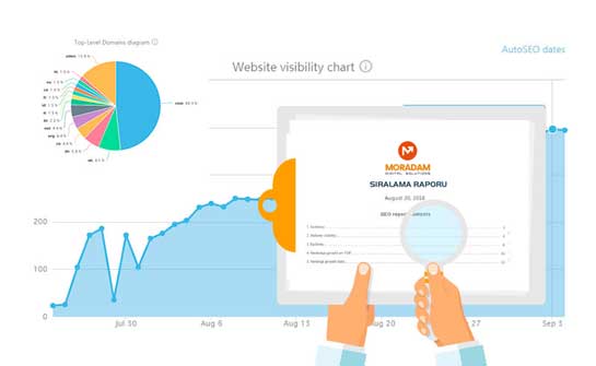 Gelişmiş SEO Raporu