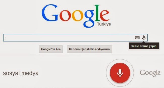 google-sesli-arama-turkce.jpg