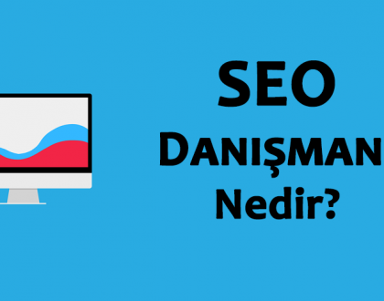 Seo Danışmanı Nedir?