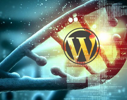 seo uyumlu wordpress temaları