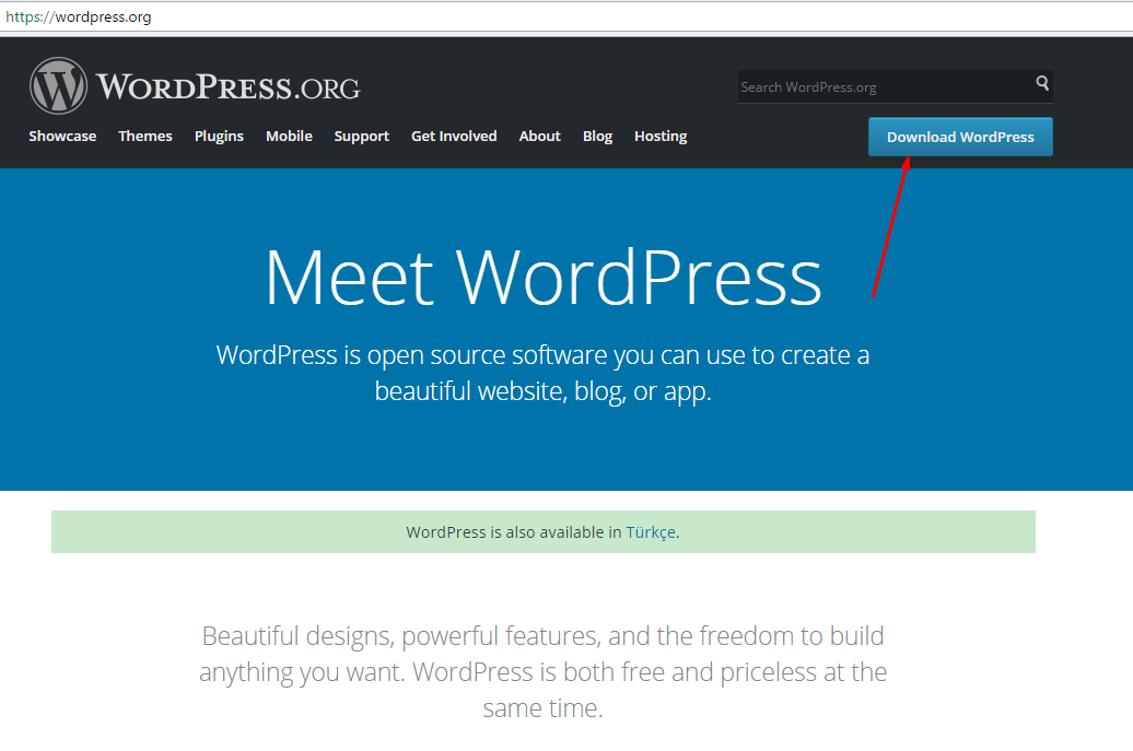 wordpress