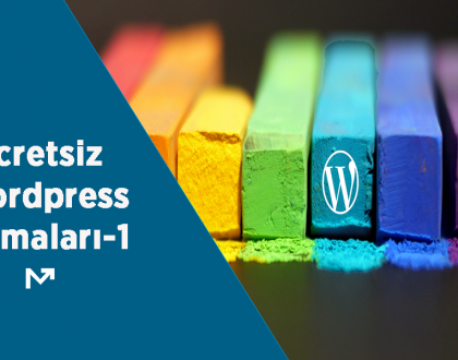 Ücretsiz WordPress Temaları- 1