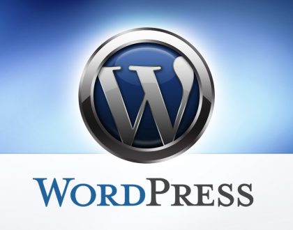 Wordpress SEO Sorunları