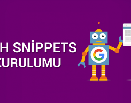 rich snippets