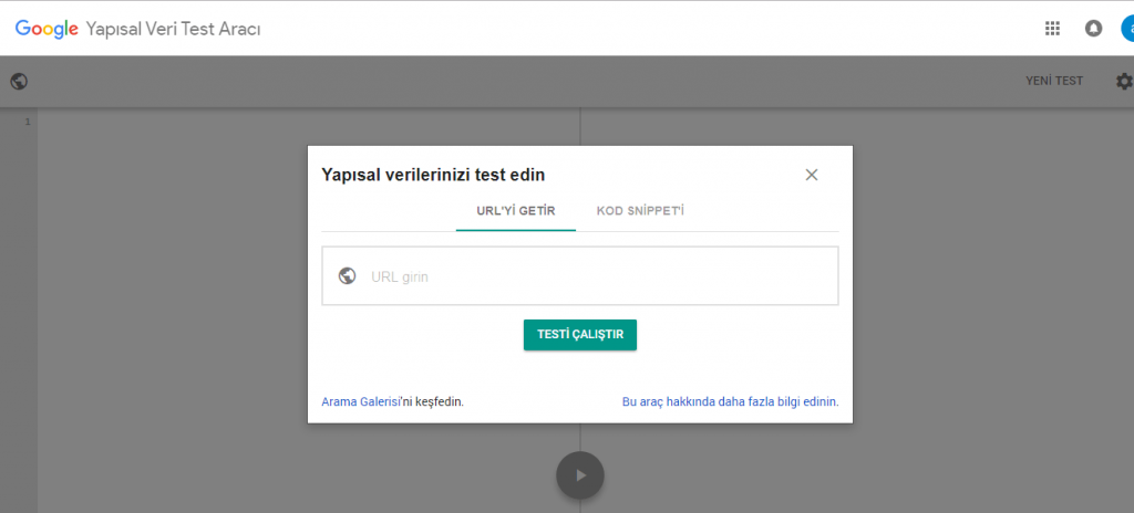 rich snippets test aracı