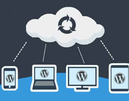 Wordpress Site Yedeği Alma Nasıl Yapılır?