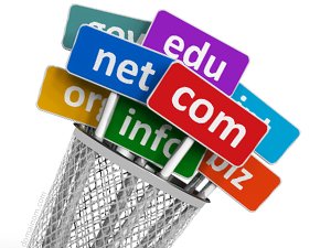 Seo Uyumu İçin Hangi Alan Adı Uzantısını Seçmeliyiz? (.com veya .net)