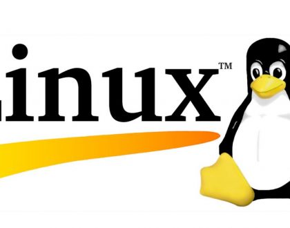 Linux Hosting Nedir? Linux Hosting'in En Önemli Özellikleri