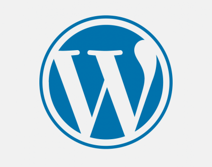 Wordpress Dezavantajları Nelerdir?