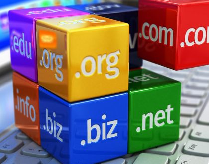 Domain Nedir?