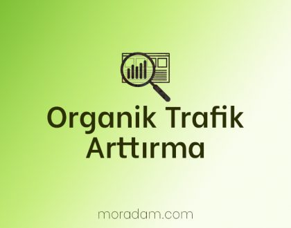 Organik Trafik Arttırma