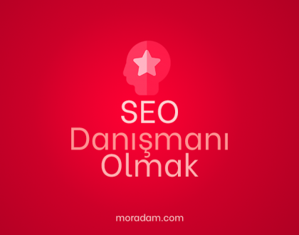 SEO Danışmanı