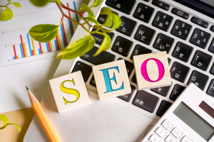 Doğal SEO Nedir?
