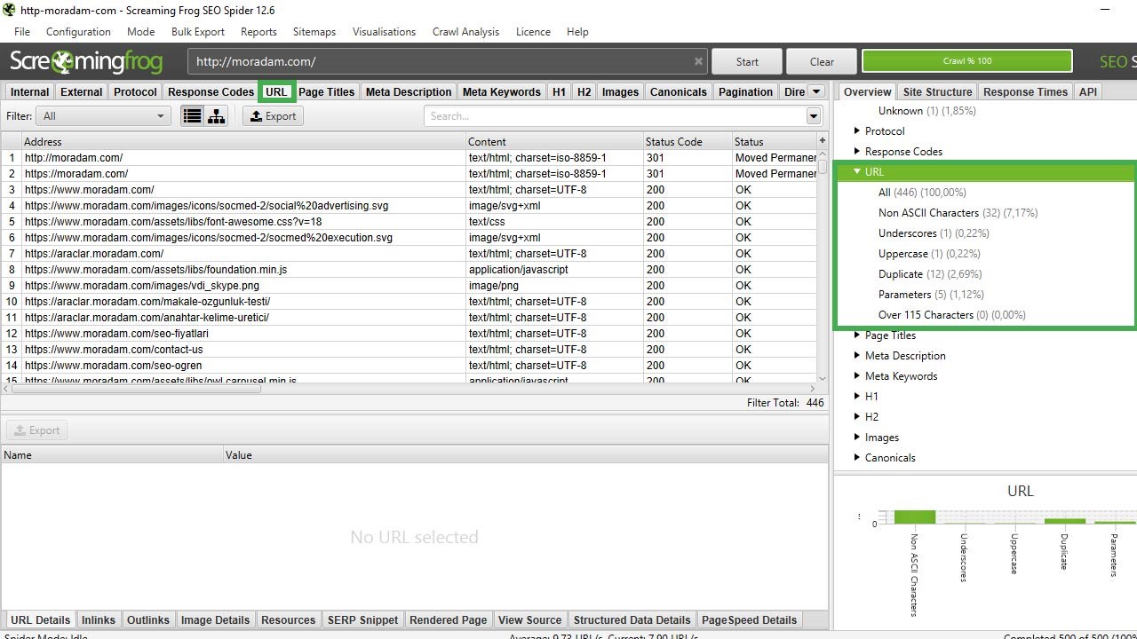 screaming-frog-url-denetimi.jpg