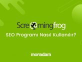 Screaming Frog SEO Programı Kullanımı [Detaylı Rehber]