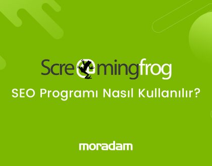 Screaming Frog SEO Programı Kullanımı [Detaylı Rehber]