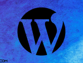 WordPress Sayfa, Yazı, Kategori, Etiket ID Bulma