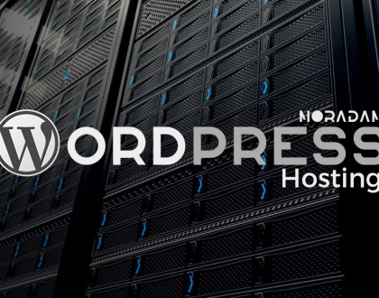 WordPress Hosting Nedir?