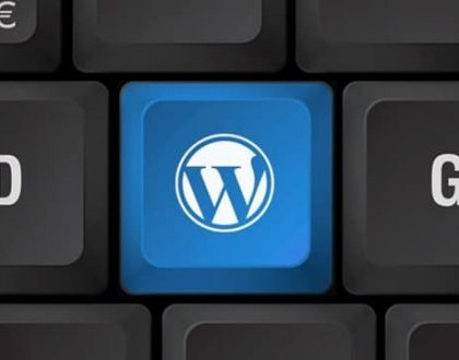 WordPress Güvenlik Önlemleri