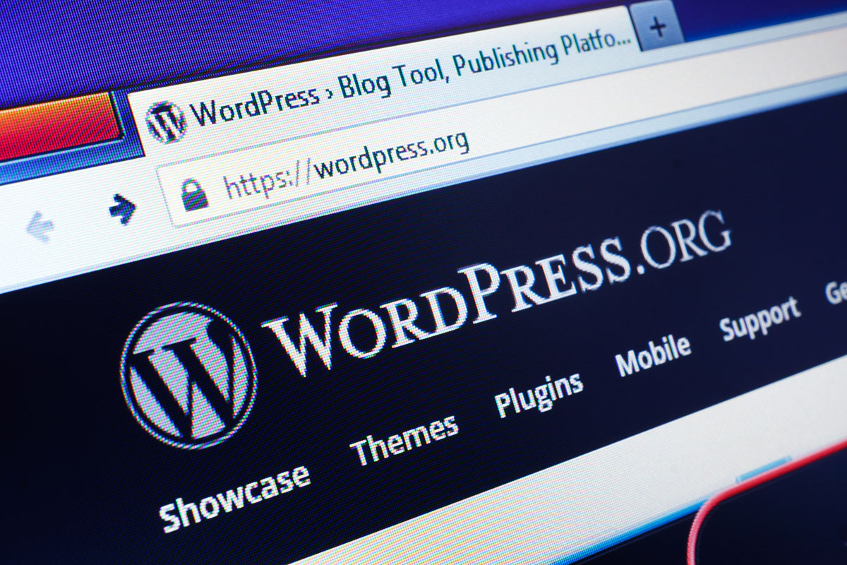 WordPress Güncelleme Başarısız