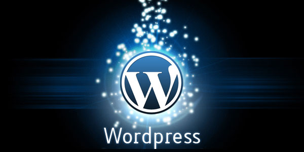 Wordpress Tema Nasıl Kurulur?