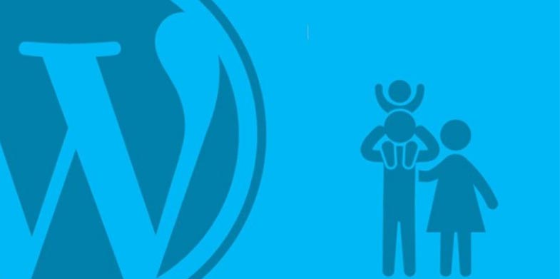 WordPress Child Theme Nedir?