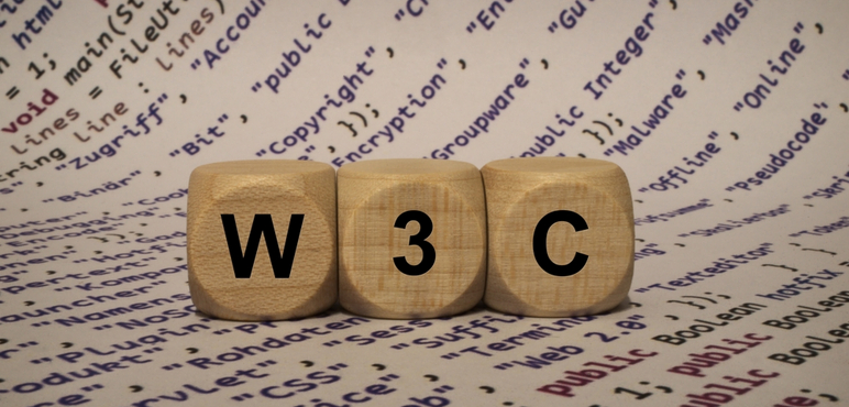 w3c-nedir-d6e333.jpeg