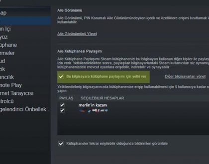 Steam Aile Paylaşımı Nedir? Oyunlarımı Nasıl Paylaşırım?