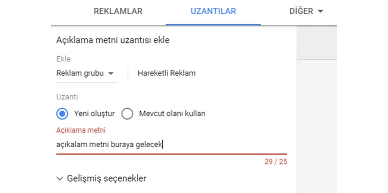 Açıklama Metni Uzantısı Nedir?