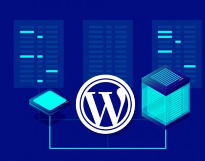 WordPress Hosting Seçerken Bilinmesi Gerekenler