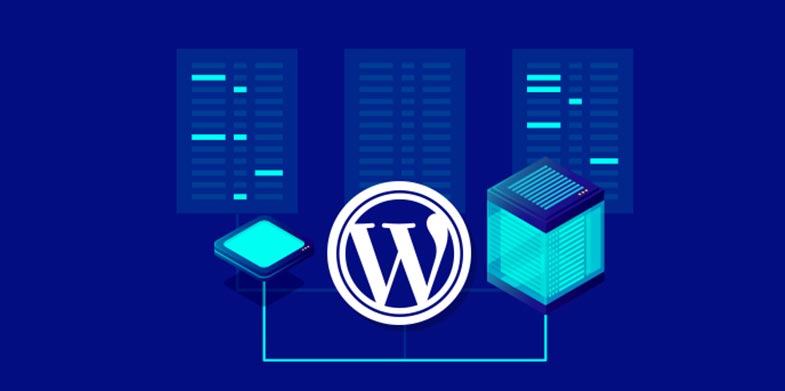 WordPress Hosting Seçerken Bilinmesi Gerekenler