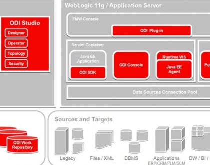 Oracle Data Integrator Nedir