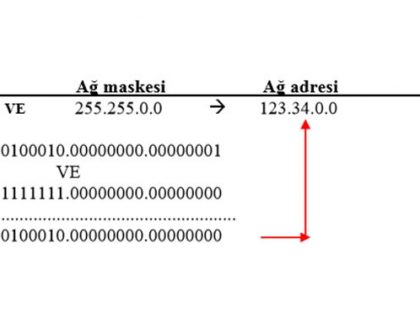 Subnettıng uzmanlığı nedir?