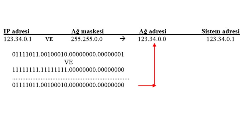 Subnettıng uzmanlığı nedir?