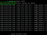 Telnet, Tracert, Nslookup Mantığı ve Kullanımı Nasıl Gerçekleşmektedir?